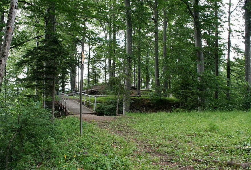 Ruine Hohenlandenberg, Wila, Switzerland, Switzerland